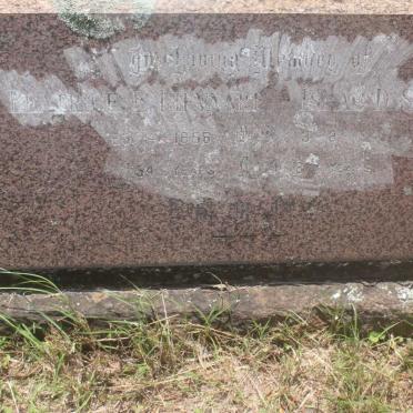 LIEVAART Beatrice E. -1958 :: SMYTHE Isaac D. -1949