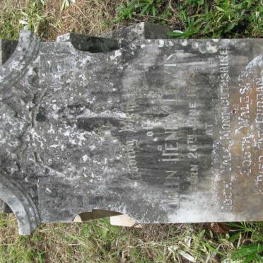 LEWIS John Henry 1875-1936