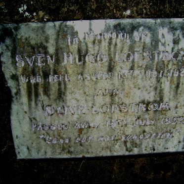 LOFSTROM Sven Hugo -1924 &amp; Olive -1952