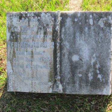 LOADER Rebecca -1955