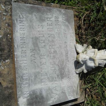 LOGGERENBERG Pieter Louis, van 1968-1968