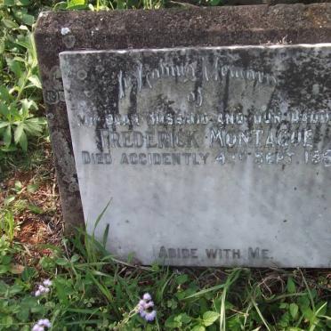 MONTAGUE Frederick -1951