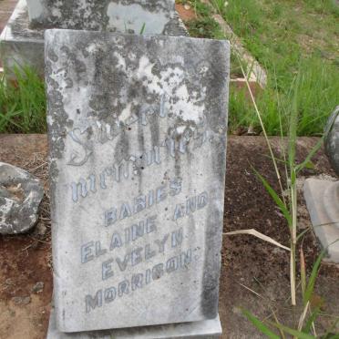 MORRISON Elaine June -1946 :: MORRISON Evelyn