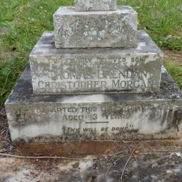 MORGAN Thomas Brendan Christopher -1958 :: MORGAN Mary -1960