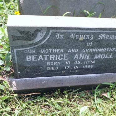 MOLL Beatrice Ann 1894-1986