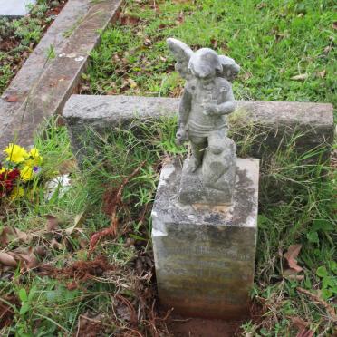 MORTON Lynette Evelyn 1962-1963