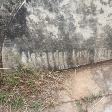 MURRAY Alexander Low 1851-1930