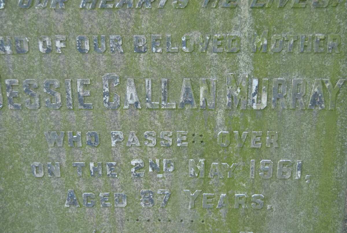 MURRAY Jessie Callan -1961