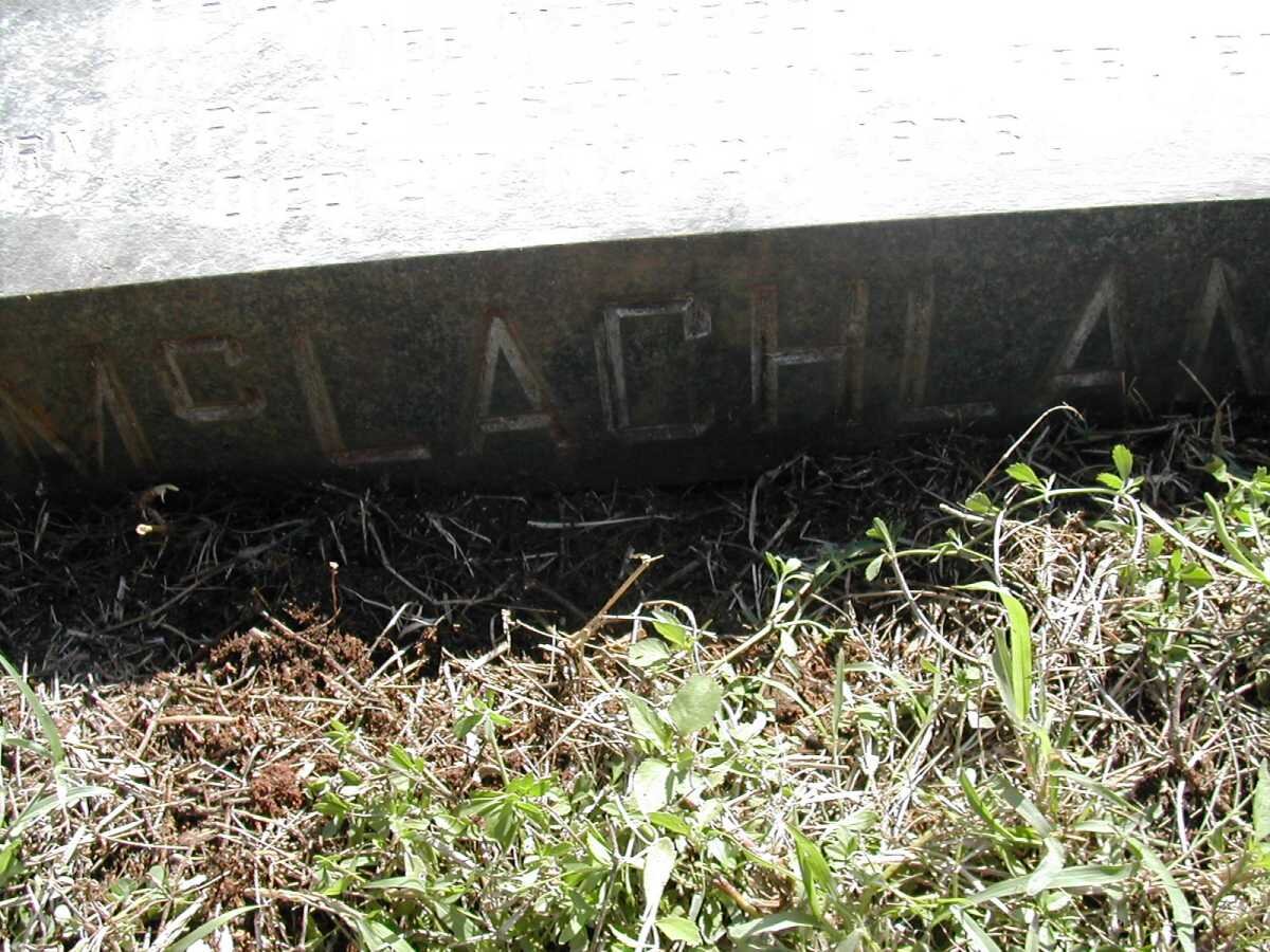 McLACHLAN Phyllis Irene nee PAY 1908-1962 :: McLACHLAN Paulina nee McGREGOR 1922-1978