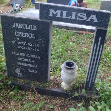 MLISA Jabulile Cherol 1973-2002