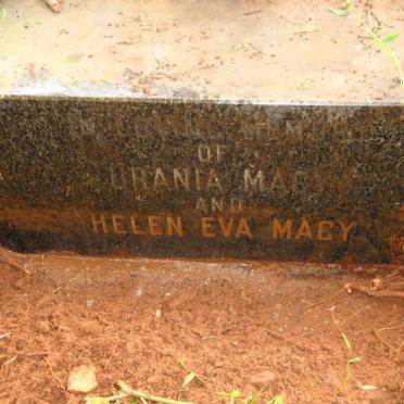 MACY Urania -1955 :: MACY Helen Eva -1979