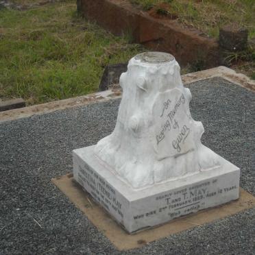 MAY Thomas Hunt -1959 &amp; Christina -1980 :: MAY Gwen -1925