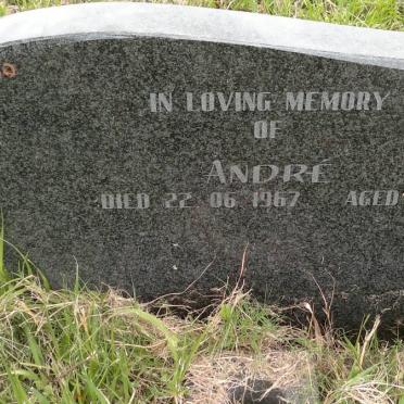 MERWE André, van der -1967