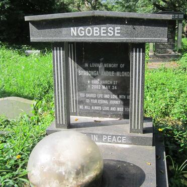 NGOBESE Siyabonga Andile Mlond.I 1985-2002