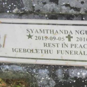 NGUBANE Syamthanda 2015-2016