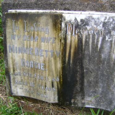 NORKIE Minnie Netty -1946