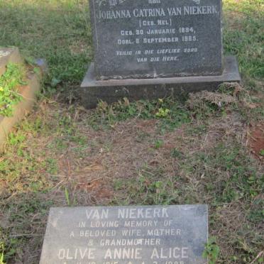 NIEKERK Johanna Catrina, van nee NEL 1894-1965 :: VAN NIEKERK Olive Annie Alice 1915-1988