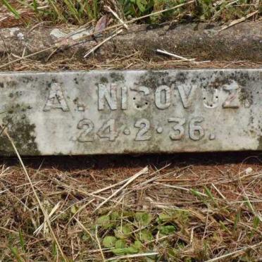 NICOVUZ A.  -1936