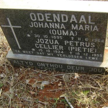 ODENDAAL Johanna Maria 1895-1964 :: Jozua Petrus Cellier 1924-1955