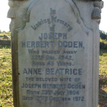 OGDEN Joseph Herbert -1942 &amp; Anne Beatrice 1904-1972 :: OGDEN Desmond 1924-1924