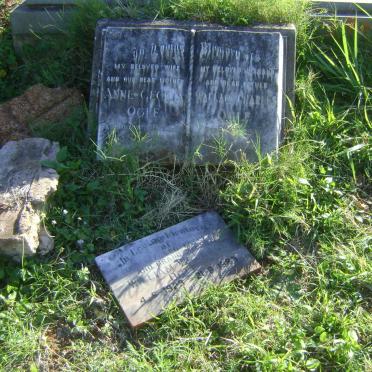 OGLE Anne Cecilia -1959 :: OGLE Wallace Charles 1948-1979 :: OGLE William Wallace 1923-1983