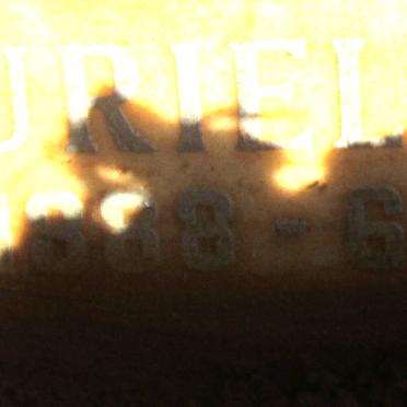 OTTO Henry Muller 1879-1962 &amp; Muriel May -1964