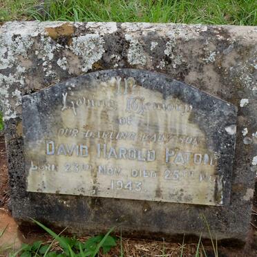 PATON David Harold -1943