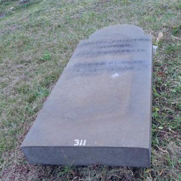 PATURAU Hector Philippe 1939-1974