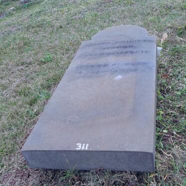 PATURAU Hector Philippe 1939-1974