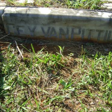 PITTIUS Johann Wilhelm, Gey van 1923-1949