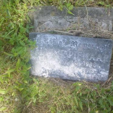 PIENAAR Valerie -1933