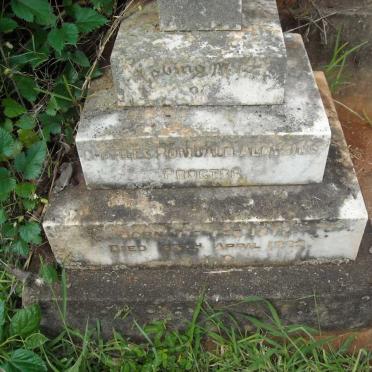 PROCTOR Charles Romuald Aloysius 1872-1922