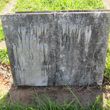 PEACOCK Henzel Sutherland -1959