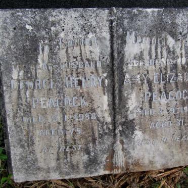 Pe - Surnames starting with the letters Pe