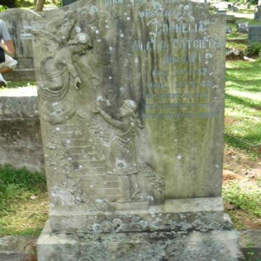 POTGIETER Cornelia Aletta 1942-1948