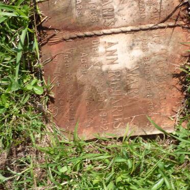 RICHARDS Sydney Arthur -1935 &amp; Mary Ann -1942