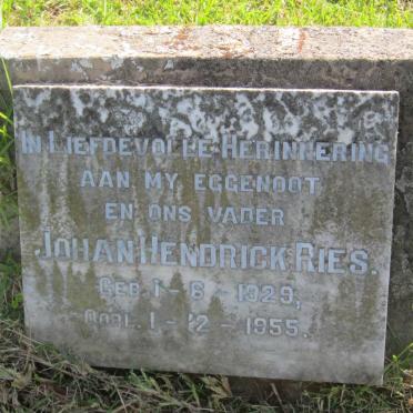 RIES Johan Hendrick 1929-1955