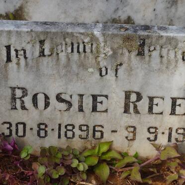 REED George Thomas Thorpe -1932 :: REED Rosie 1896-1986 :: REED Edward 1919-1973 :: REED George Lionel Victor 1932-1995