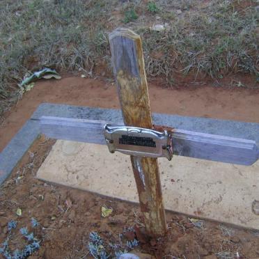 REDDY Rachel 1928-2014 