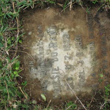 RAND Driesie, du 1928-1931