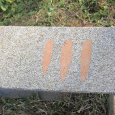 RAJOO Muniamma -1993 :: RAJOO Rathanum 1927-1976