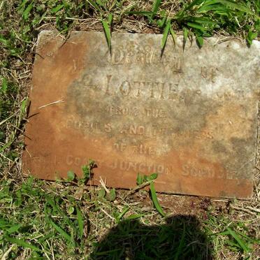 RUDDOCK Lottie -1919