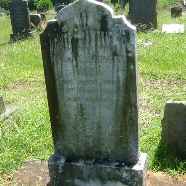 RUSSELL Thamar Shepherd -1943