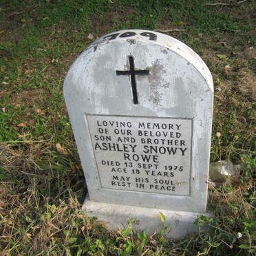 ROWE Ashley Snowy -1975