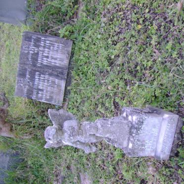 ROOYEN Groot Hermanus, van  -1929 &amp; Florence Gladys -1962 :: PASHLER Derek Francis