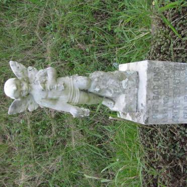 SCHUTTE Andre 1948-1959 