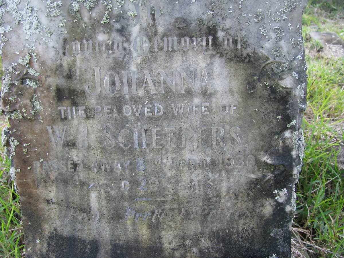 SCHEEPERS Johanna -1930