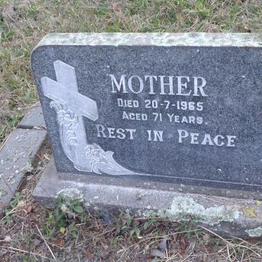 SCHONKEN Henry 1933-1998 :: GREENBERG Susana Francina -1965 