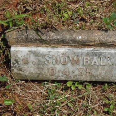 SNOWBALL J. -1935