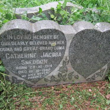 SNEDDON Catherine Jacoba 1914-1982